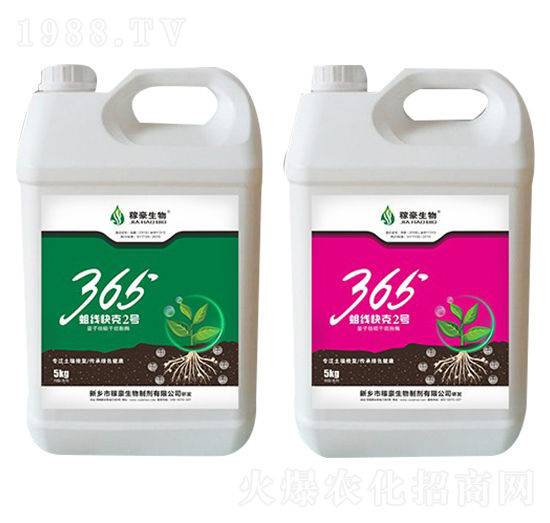 365�������2̖(h��o)-�ں�����