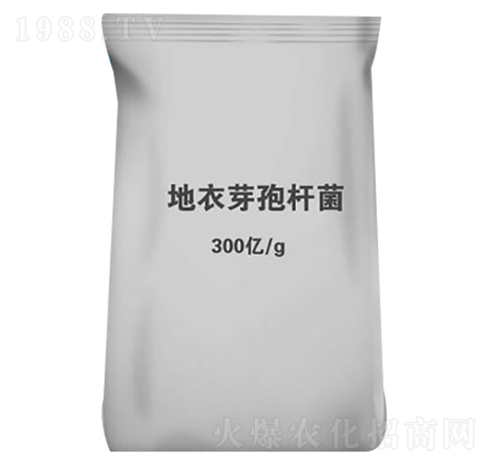 地衣芽孢桿菌-金谷生物