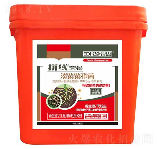 淡紫紫孢菌-拼線套餐-韓農(nóng)