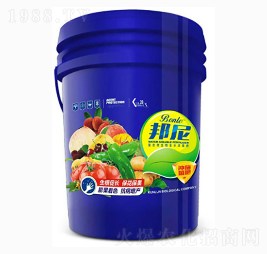 �_ʩ����-�����_