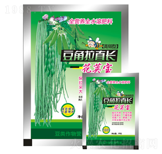 豆角拉直長-花莢寶-農夫