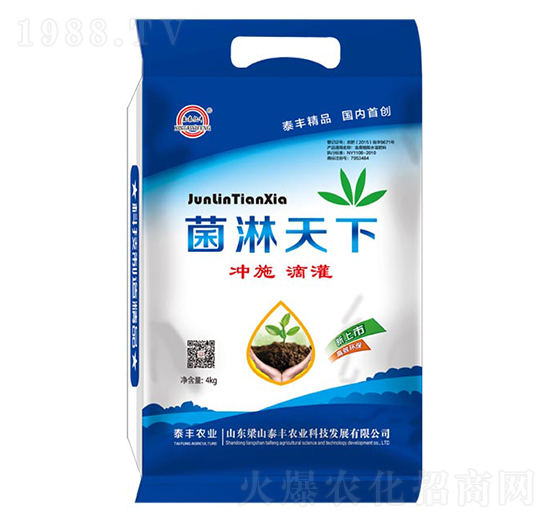 4kg菌淋天下-梁山泰豐