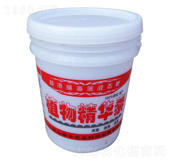 植物精華素-梁山泰豐