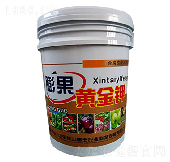 膨果黃金鉀-梁山泰豐