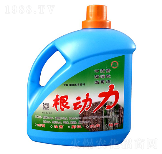 根動力-梁山泰豐