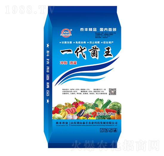 一代菌王-梁山泰豐