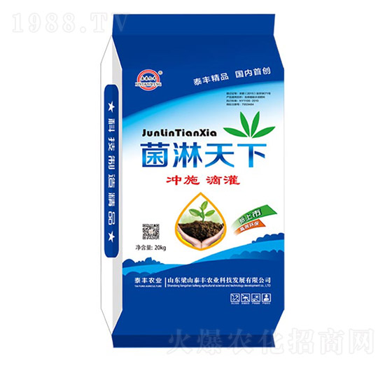 菌淋天下-梁山泰豐