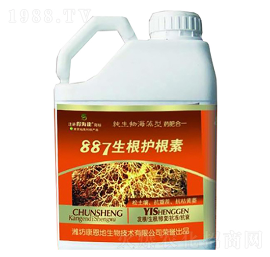 887�����o����-�ú���-������