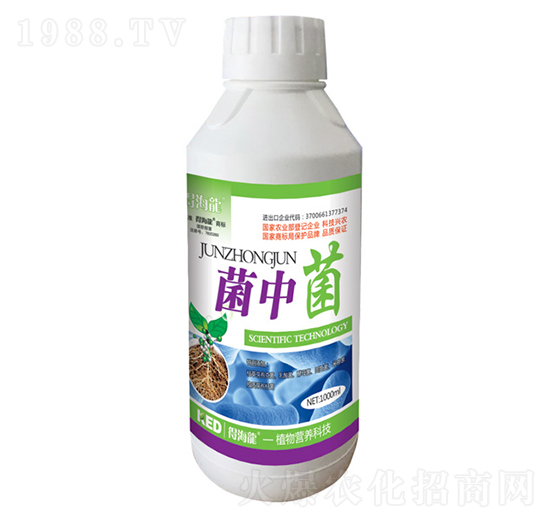 ���о�΢�������-�ú���-������