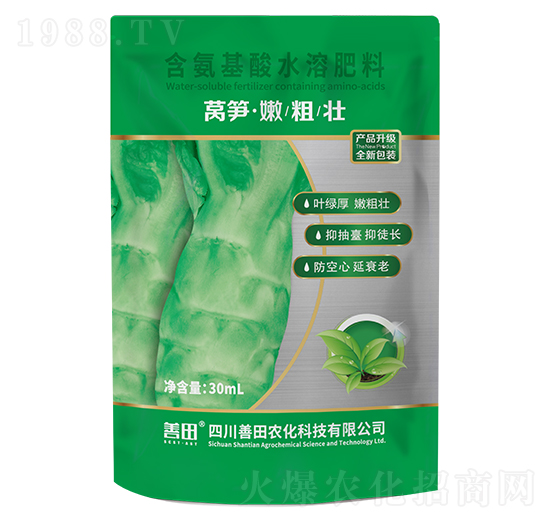 萵筍嫩粗壯-善田