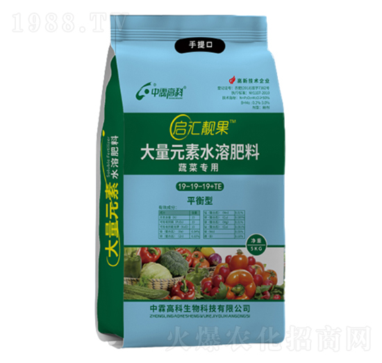 蔬菜專用大量元素水溶肥料19-19-19+TE-啟匯靚果-中霖高科