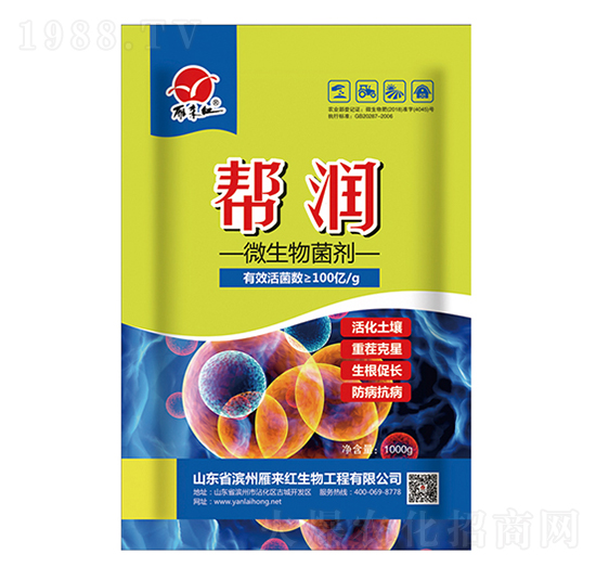 ΢�������-�͝�-����t