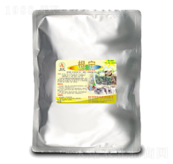 ����-��(gu��)̩��