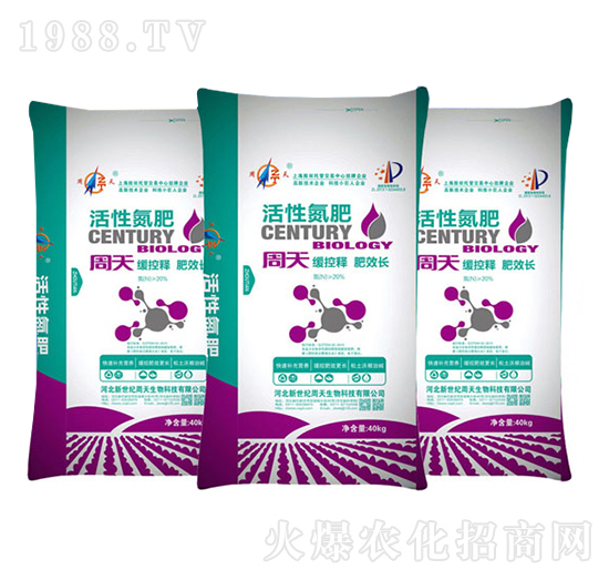 ���Ե���-��������