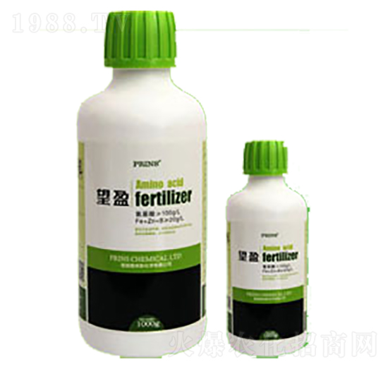 望盈-英國(guó)普林斯