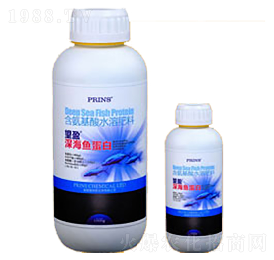 ��ӯ��~����-Ӣ��(gu��)����˹