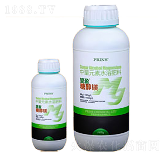 ��ӯ�Ǵ��V-Ӣ������˹