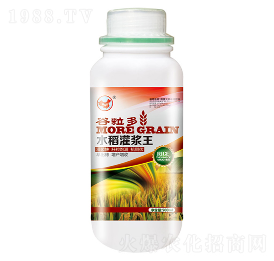 谷粒多水稻灌漿王-山東炬懷生物