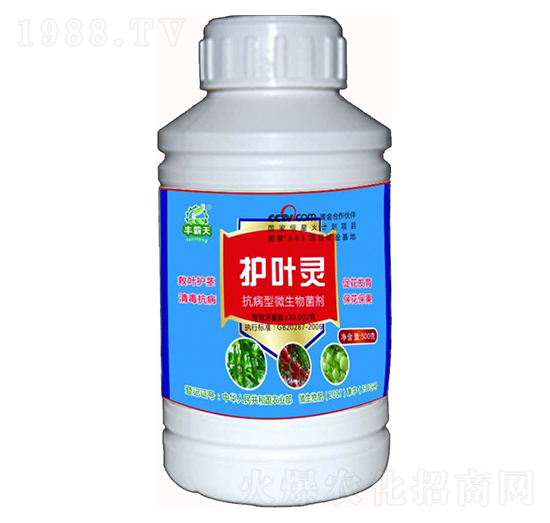 抗病型微生物菌劑-護(hù)葉靈-肥力灃