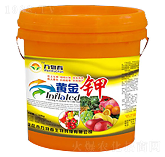 �S���-�f�ﴺ