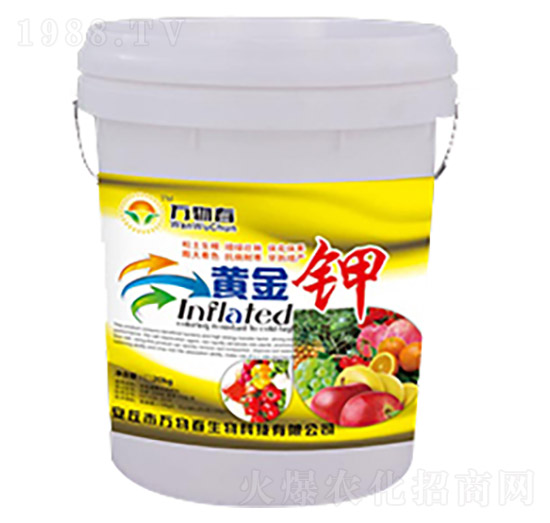 20kg�S���-�f(w��n)�ﴺ