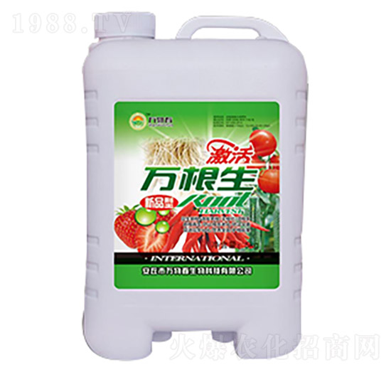 草莓辣椒萬(wàn)根生-萬(wàn)物春