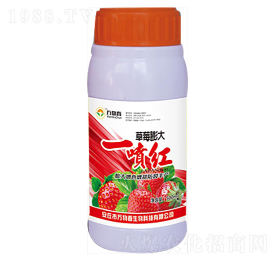 500ml��ݮ���һ���t-�f�ﴺ