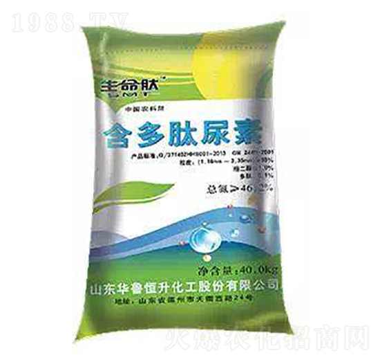 ����������-������-�A������