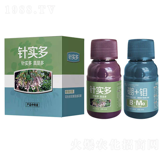 ᘌ���-������