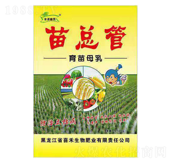 �翂������ĸ��-ϲ��