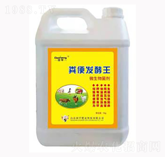 �S��l(f��)����-����ʘI(y��)