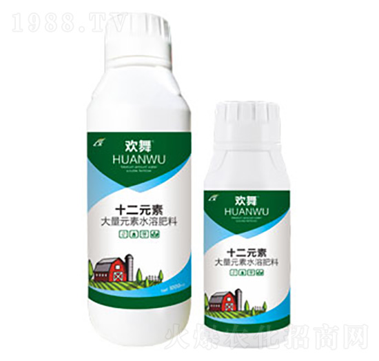 十二元素-歡舞-連象生物