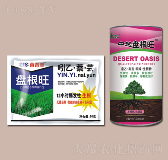 ��Խ�P(p��n)����-���r(n��ng)