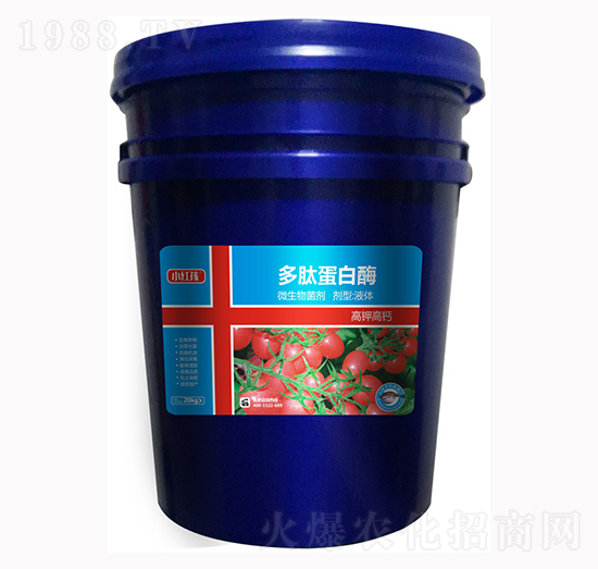 ���ĵ���ø-С�t��-�f���r(n��ng)��