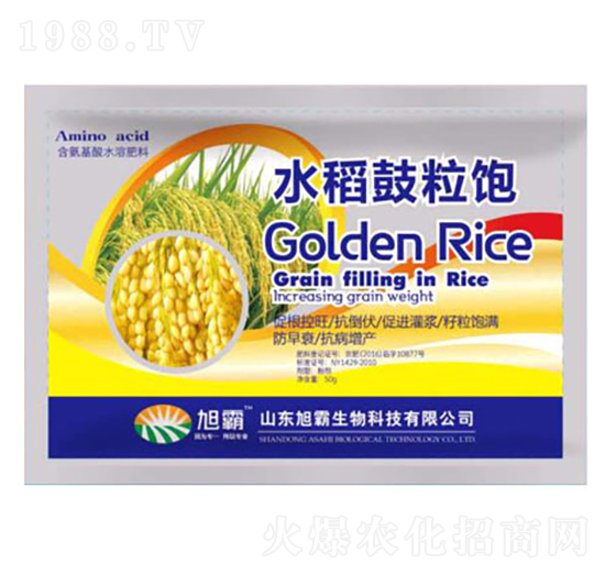 水稻鼓粒飽-旭霸生物