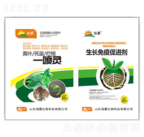 黃葉死苗爛根一噴靈-旭霸生物