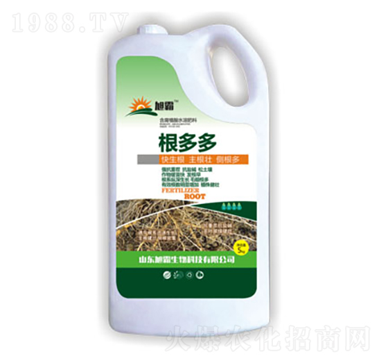 根多多-旭霸生物