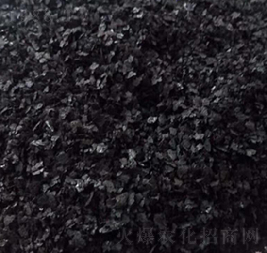 ���徫-����Դ