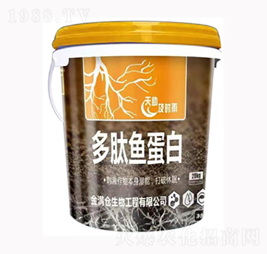 �����~(y��)����-��M(m��n)�}(c��ng)