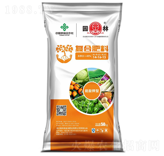 ������͏ͺϷ���14-16-15-�@��-������