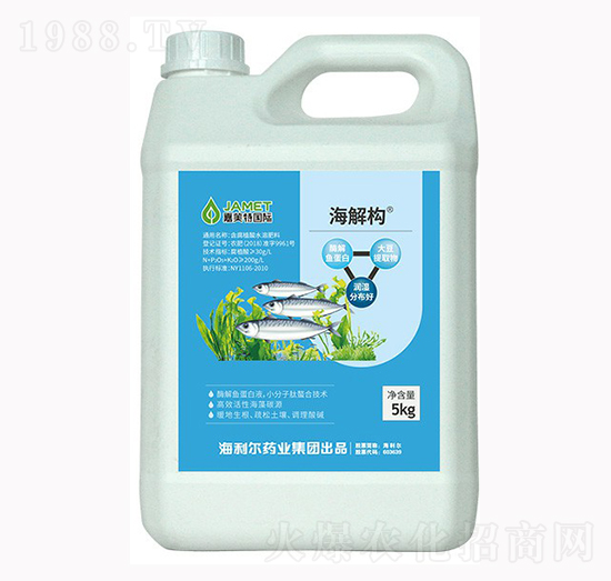 海解構(gòu)-奧迪斯