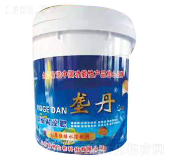 �ŵ�̼ø�����-�׼{����