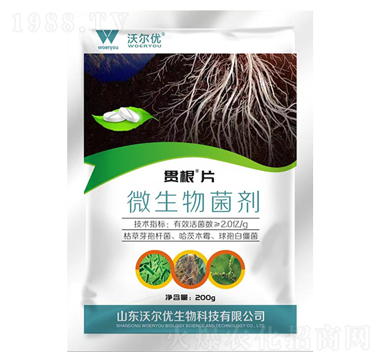 微生物菌劑-貫根片-沃爾優(yōu)