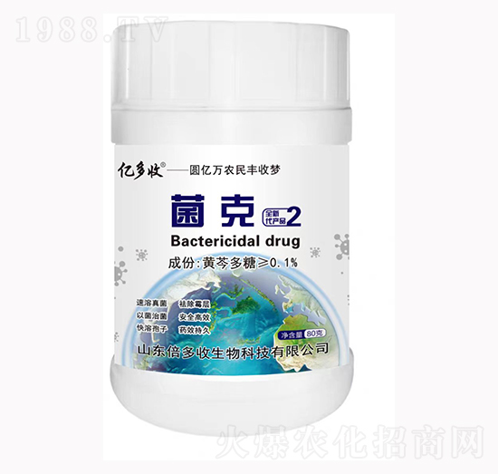 �|���վ���-������