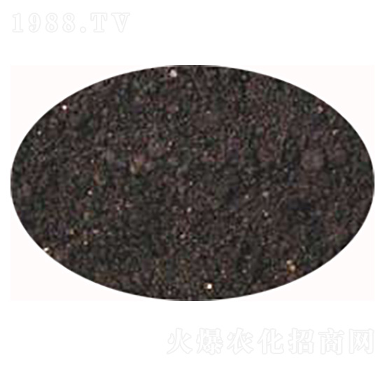 �����ЙC(j��)�ʣ��w����-��(qi��ng)�r(n��ng)�ʘI(y��)