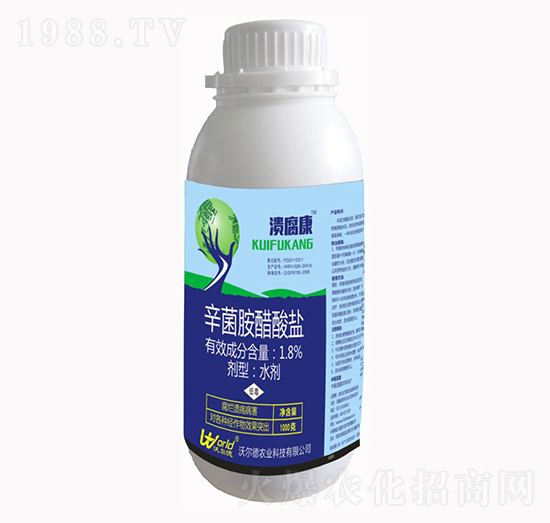 ������-�֠���