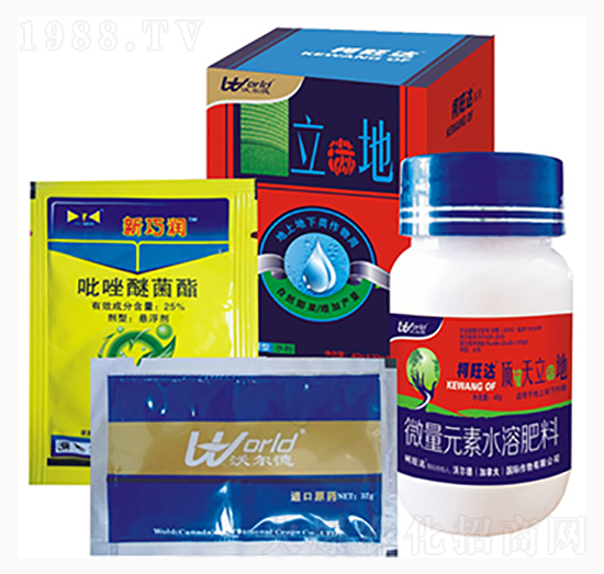 立滿地-柯旺達-沃爾德