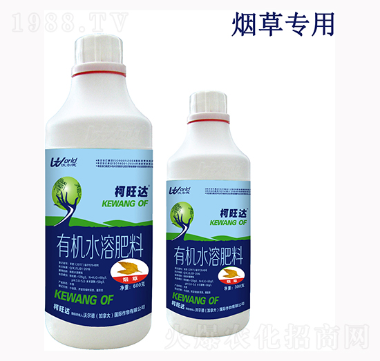 ���݌����~���-������-�֠���