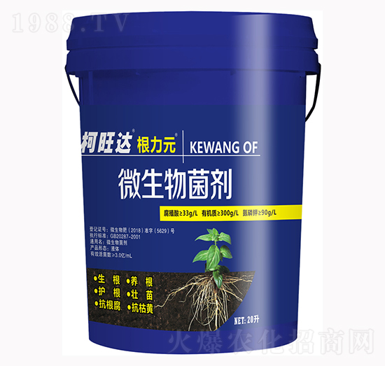 ΢�������-����Ԫ-�֠���