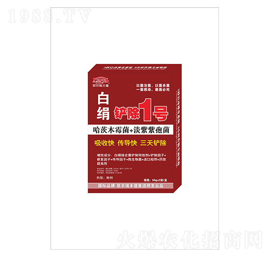 �׽����P��1̖-(li��n)�r(n��ng)���S��